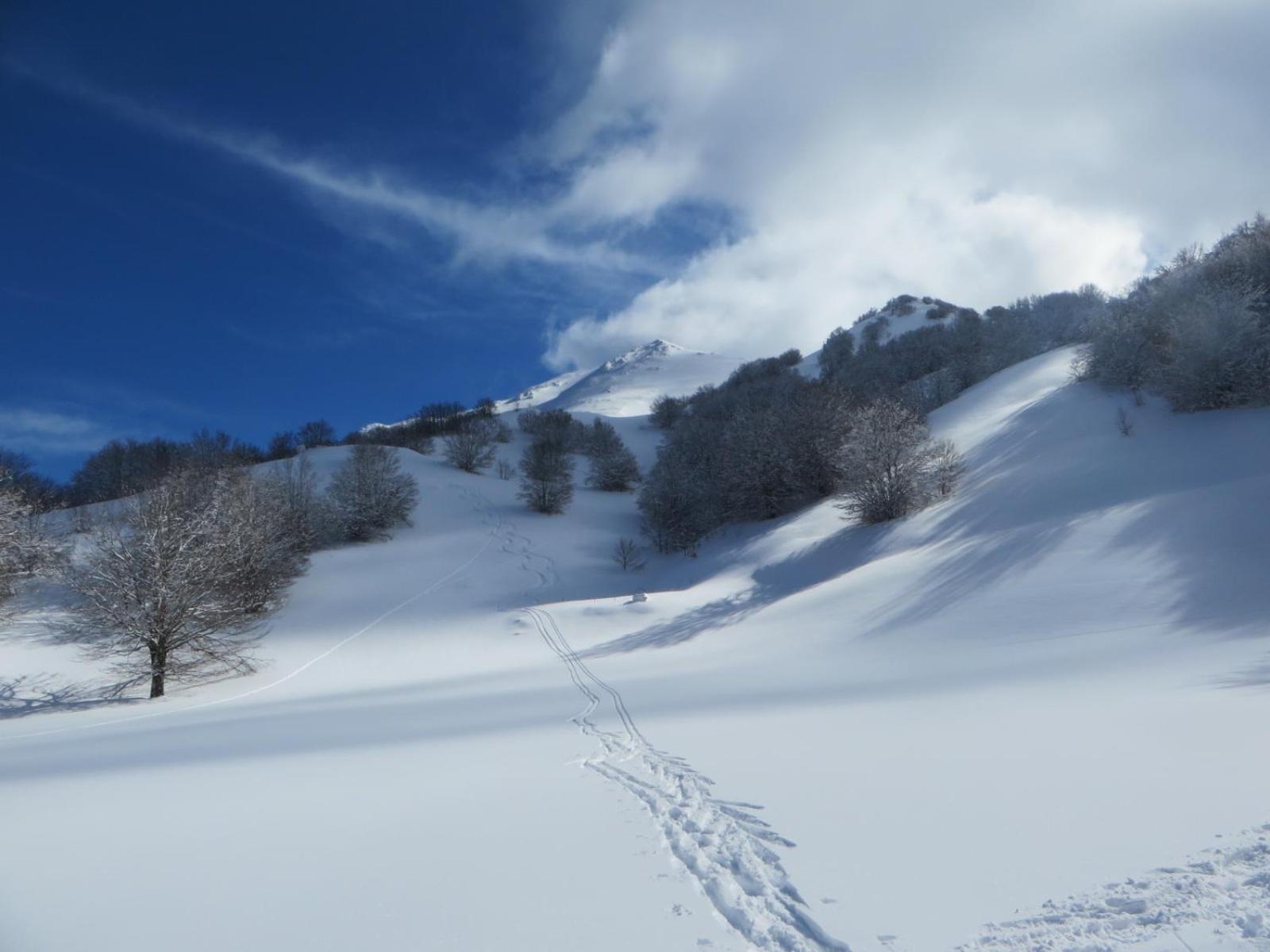 B&B Vivilmatese Roccamandolfi Luaran gambar